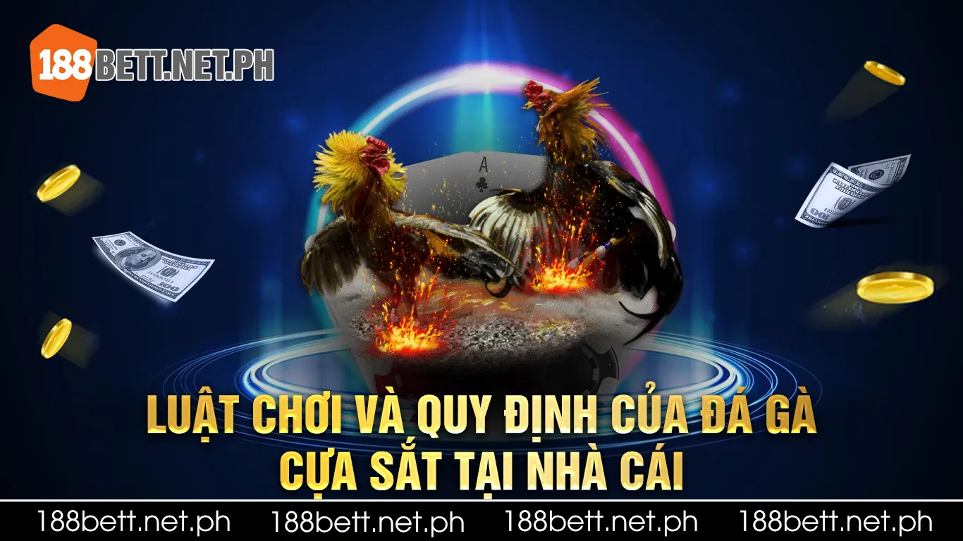 Đá gà cựa sắt 02